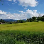 Steidele Comfortable Holiday *