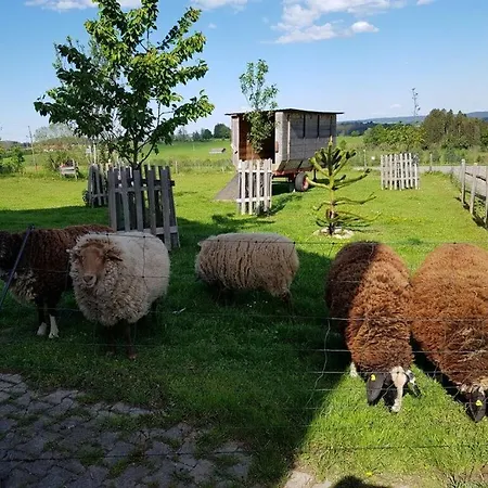 Steidele Comfortable Holiday Feriehus